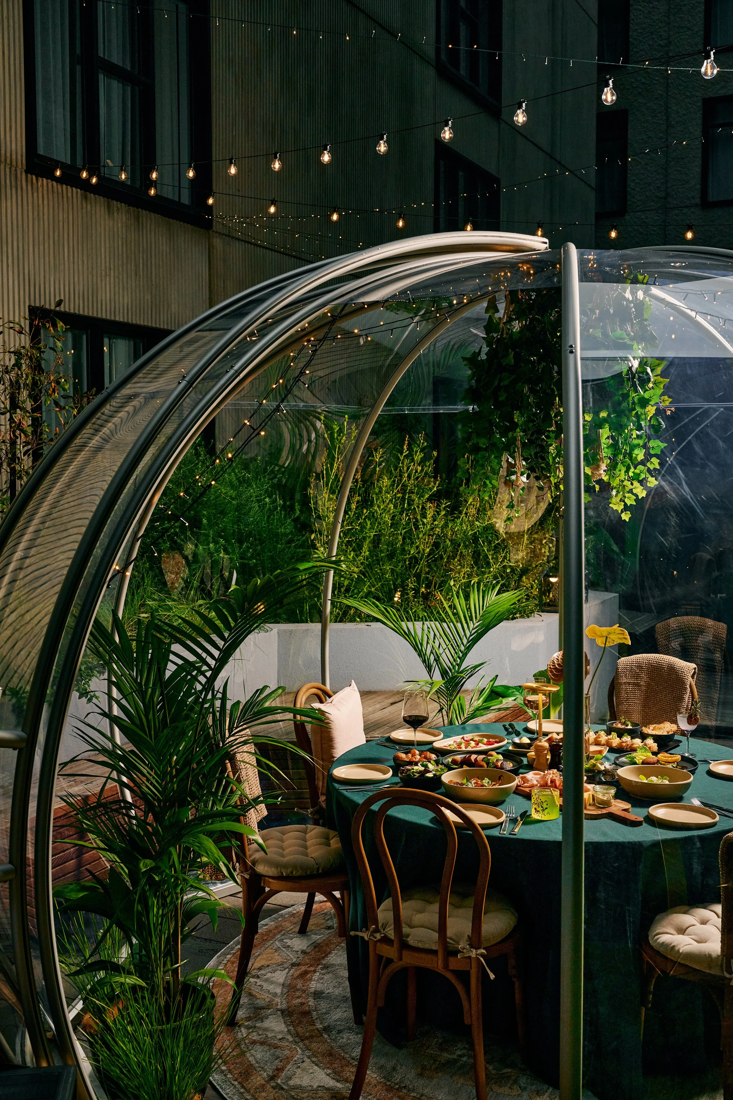 Fern's Hidden Winter Garden