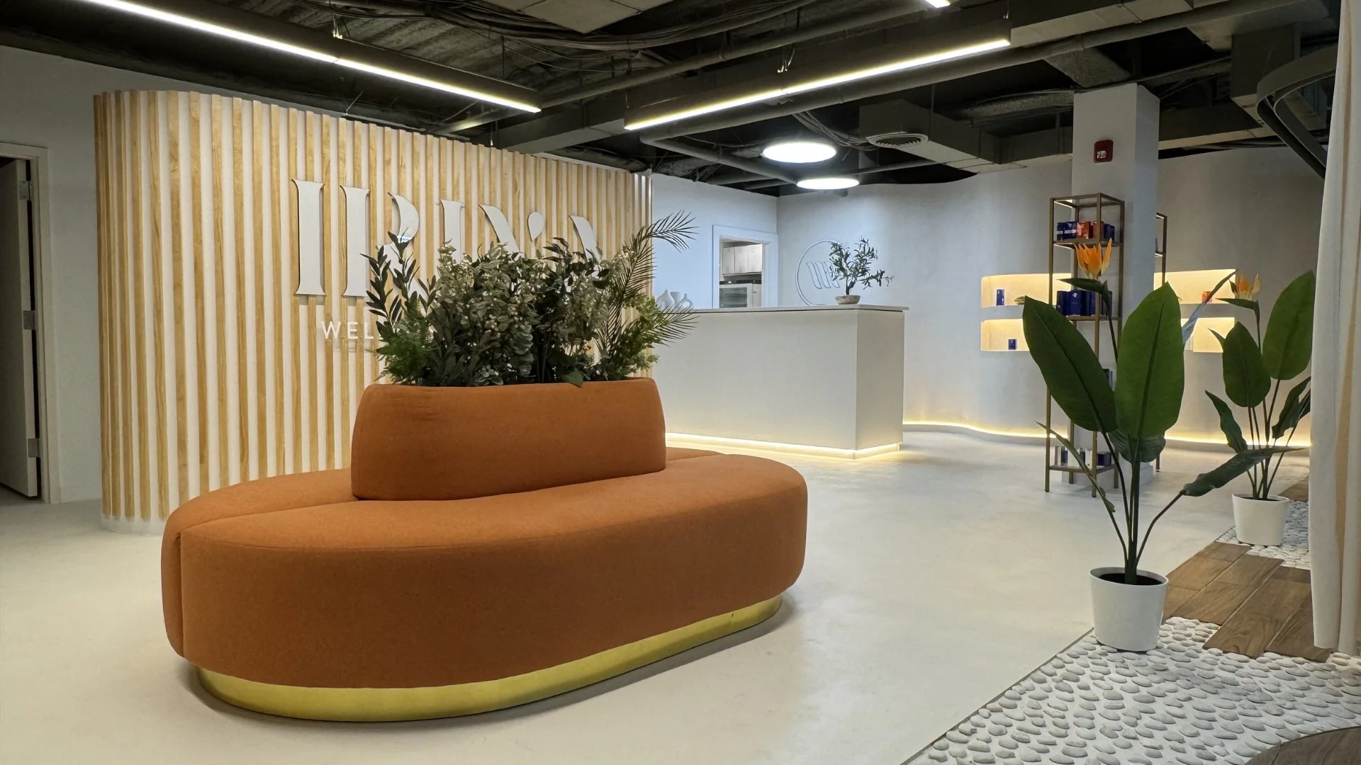Iriya aesthetics and medical spa