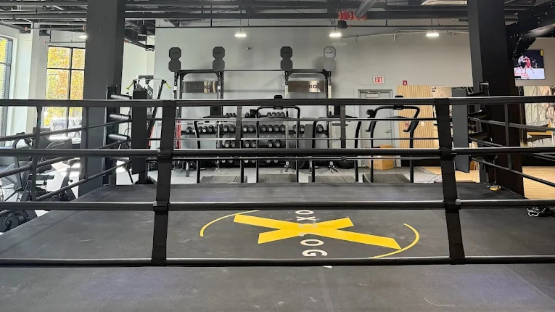 Boxology fitness and MMA gym, ground floor