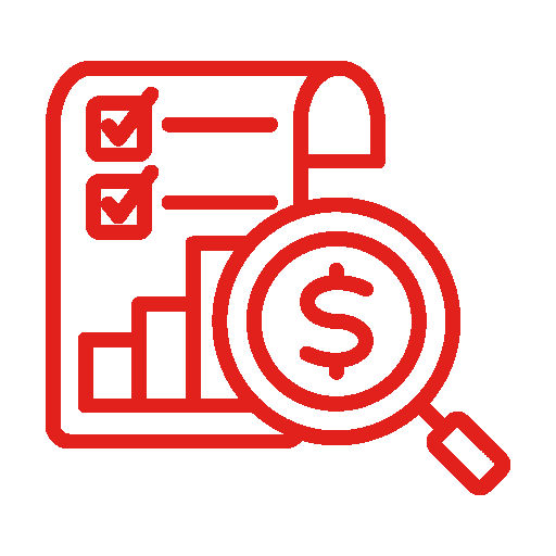 auditing icon