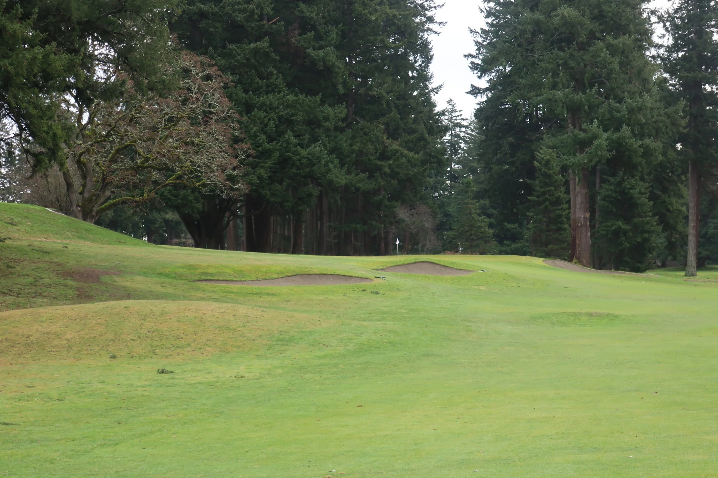 Royal Colwood