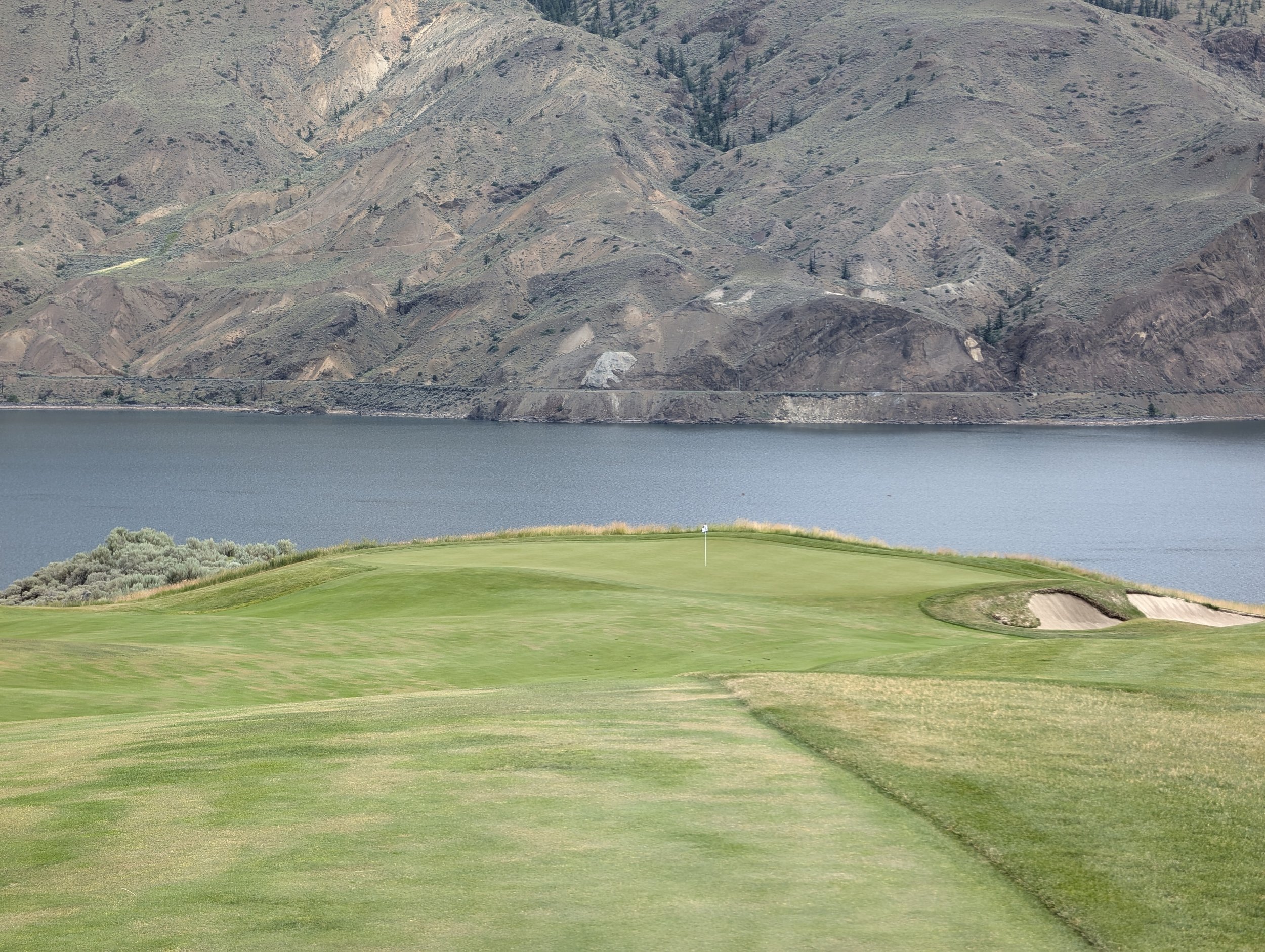 Tobiano
