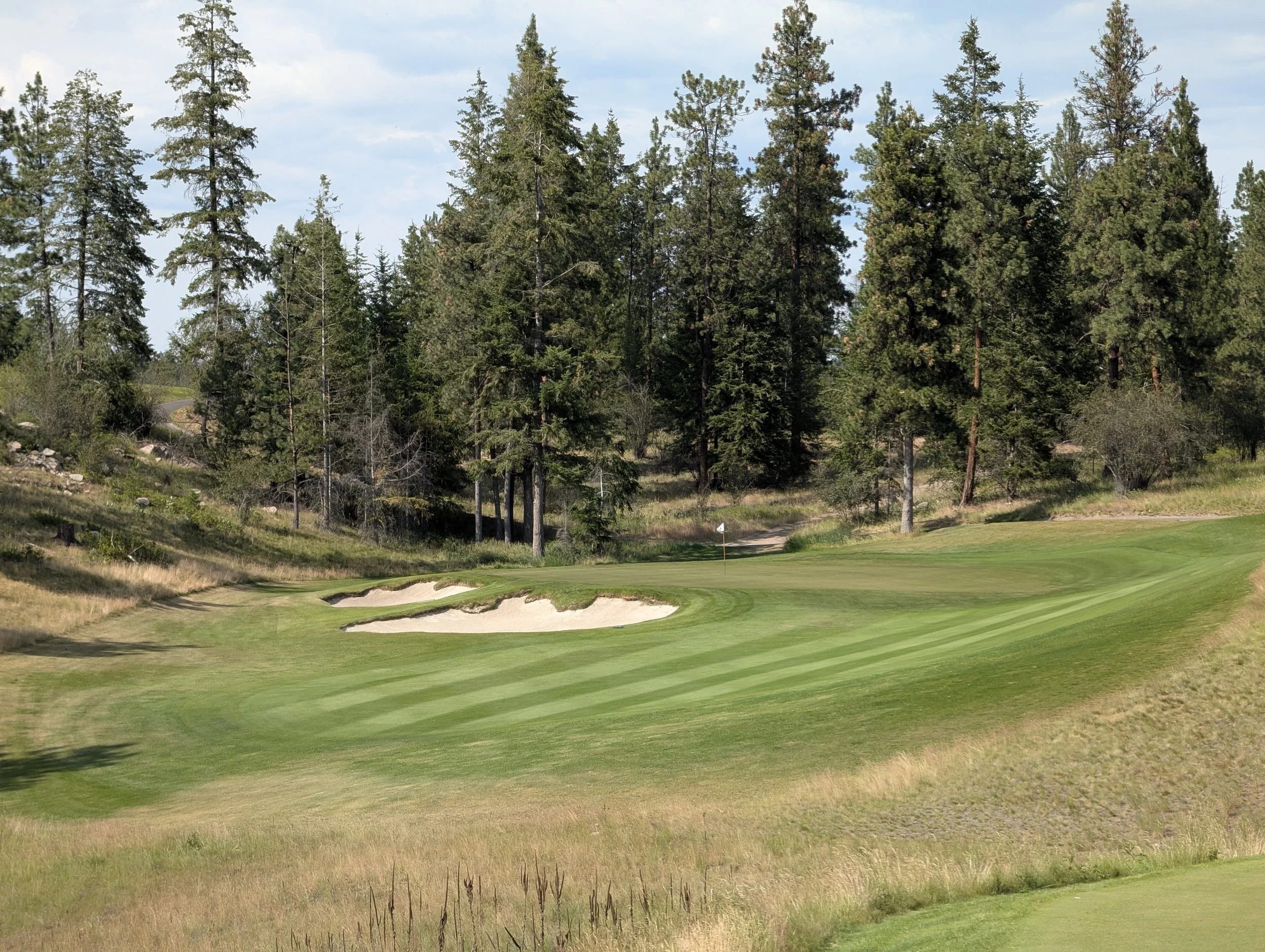Predator Ridge (Ridge)