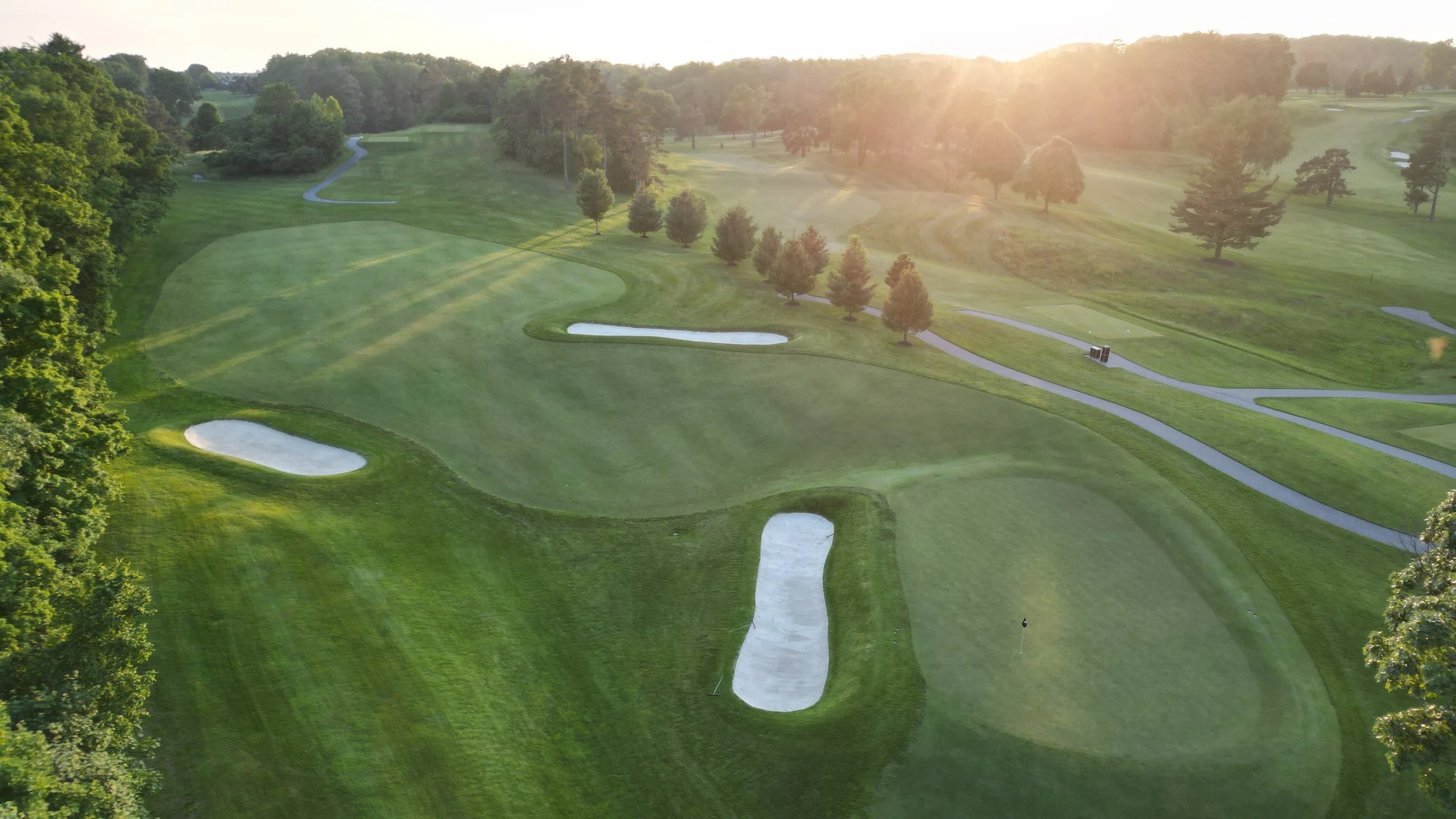 Maple Downs