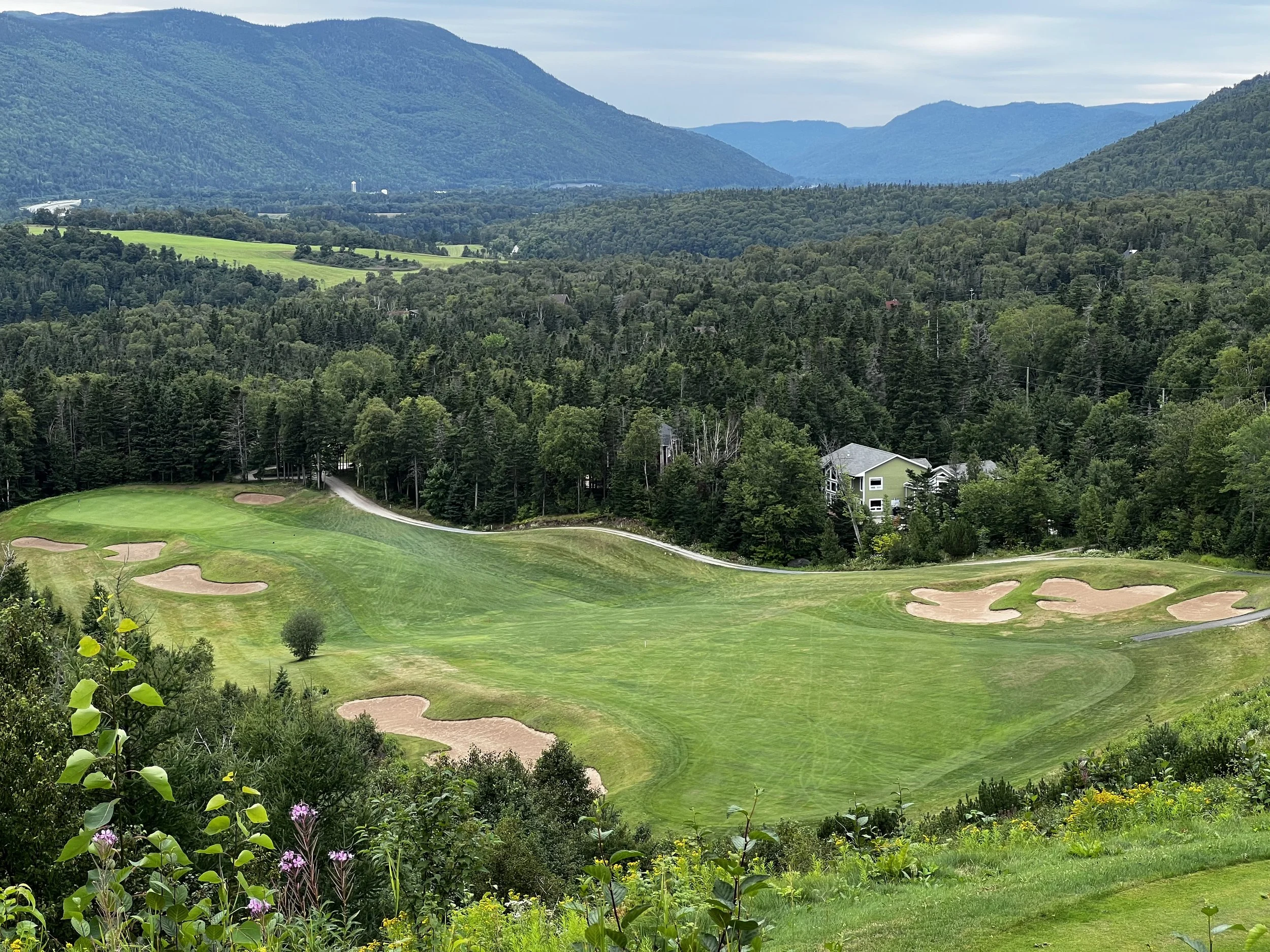 Humber Valley