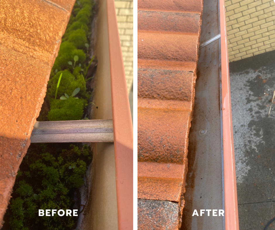 Gutter Cleaning