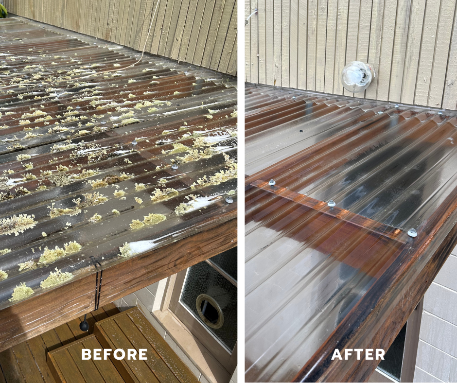 Exterior cleaning before and after in Whangaparāoa