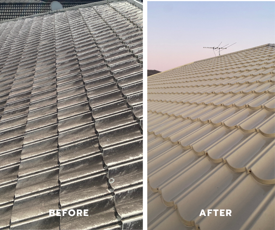 Exterior cleaning before and after near Orewa