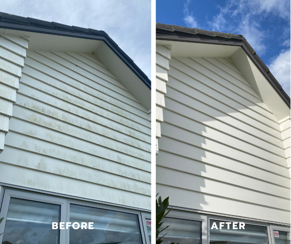 Exterior Softwash