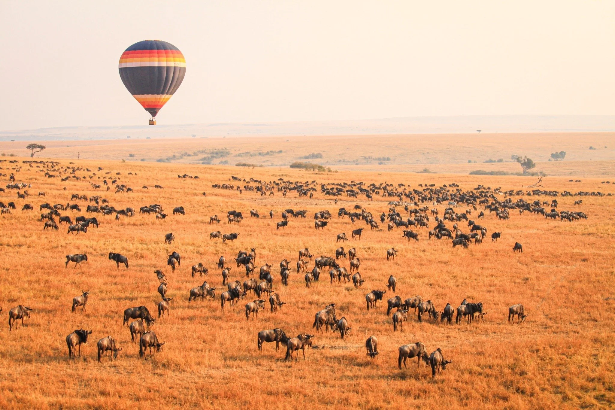 Migration Safari Masai Mara