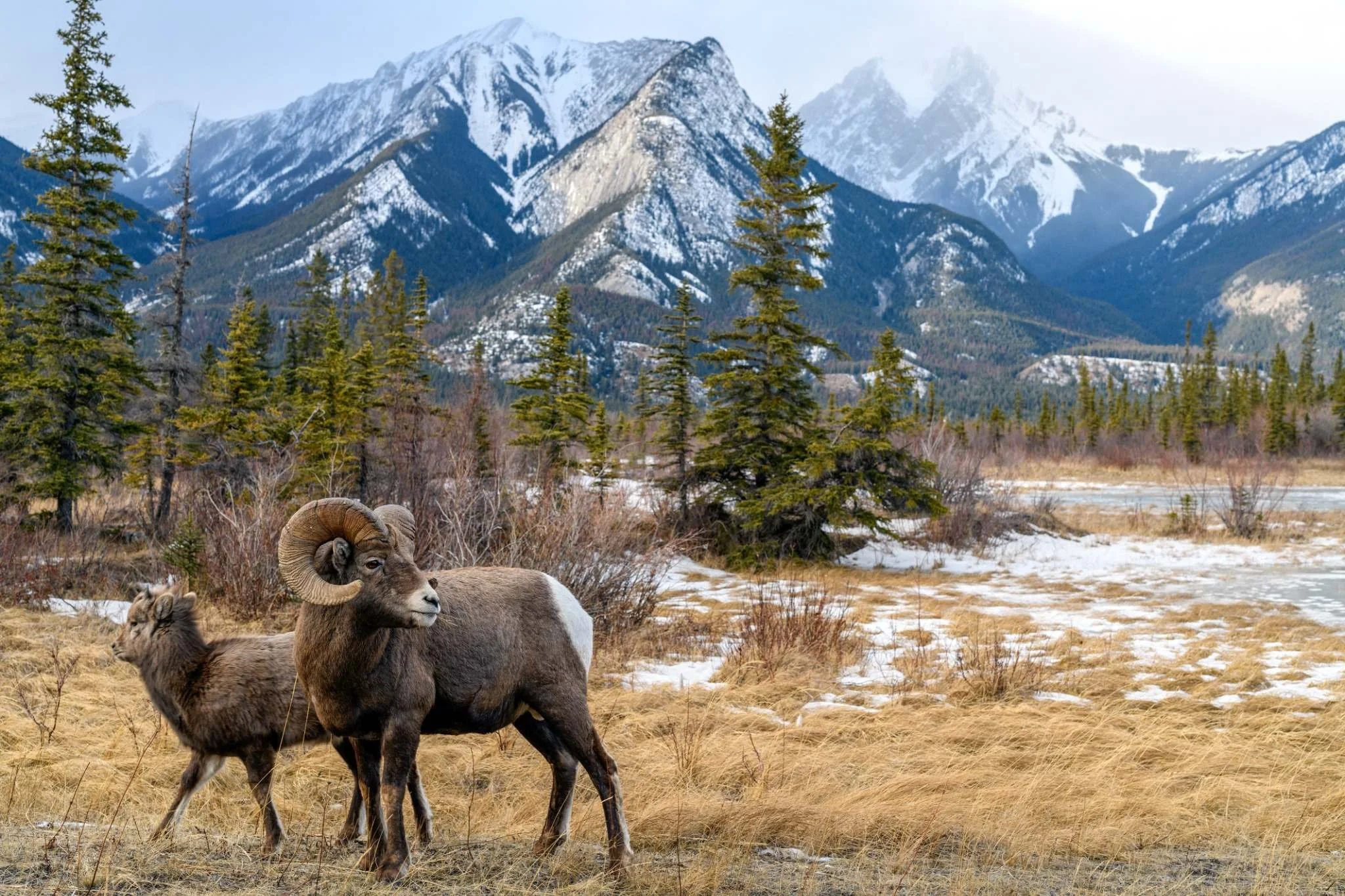 Canada