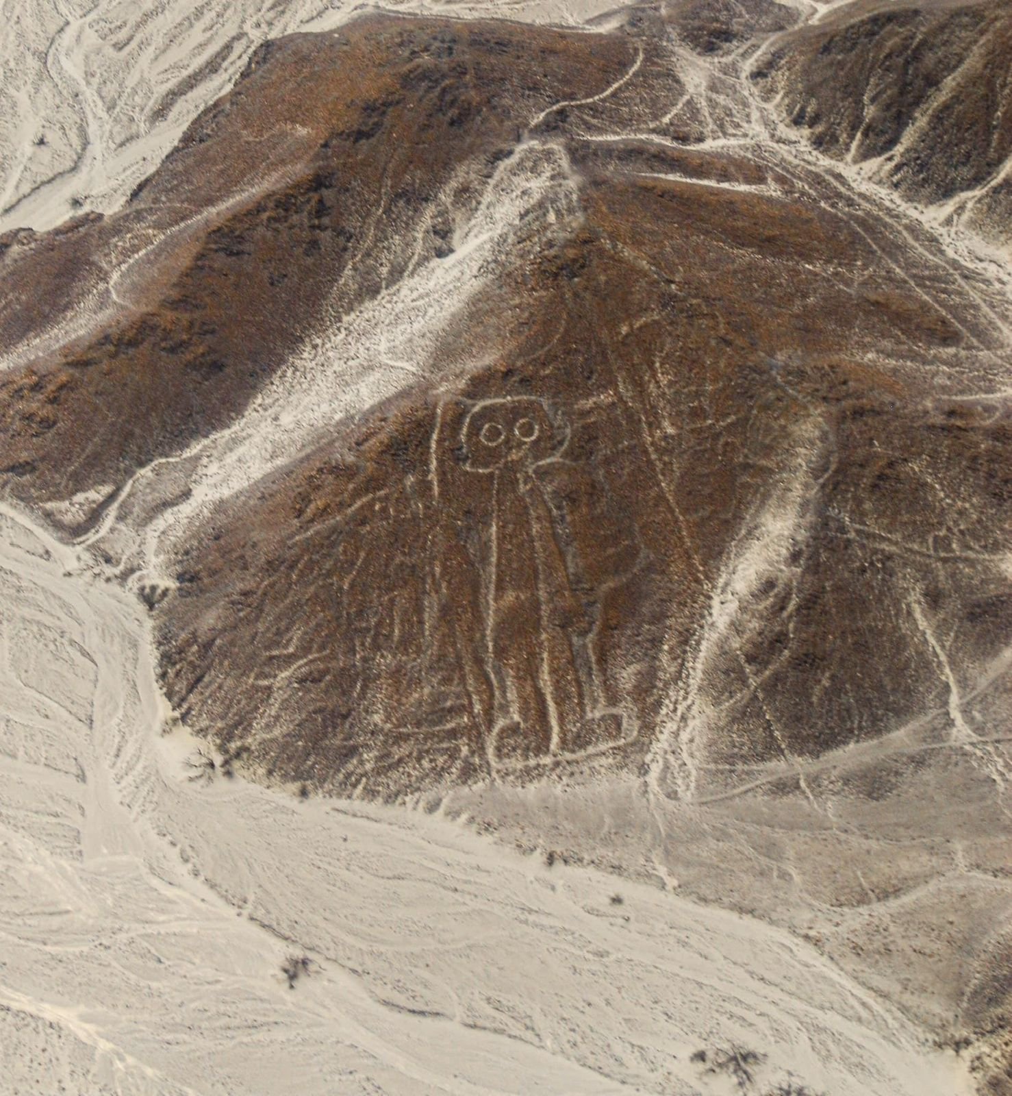 Nazca Lines Flight and transfer from Lima