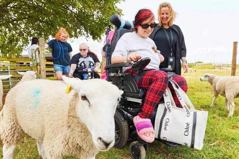 A friendly sheep meeting children during a Forward Facing animal encounter event
