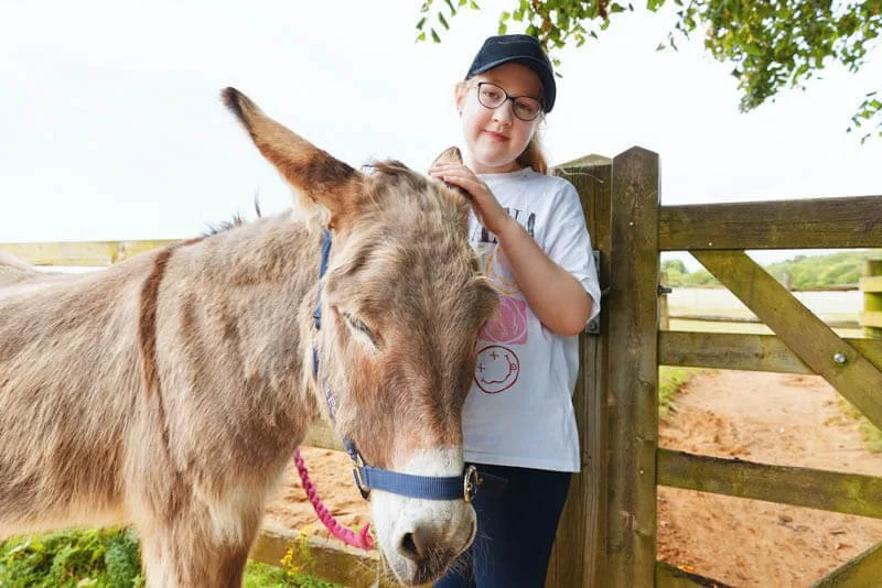 A young girl gently petting a donkey at a Forward Facing animal day