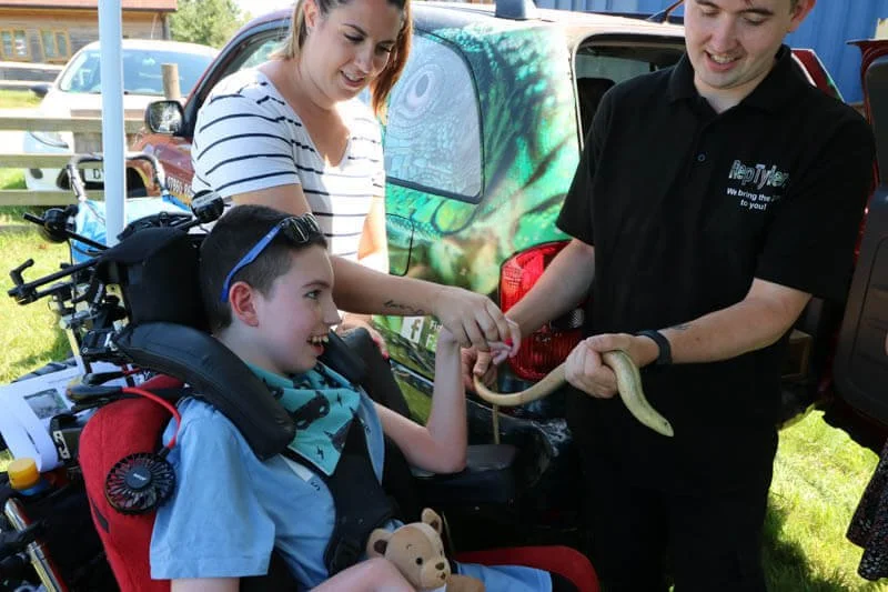 A child bravely holding a snake with help from a handler at a Forward Facing animal encounter