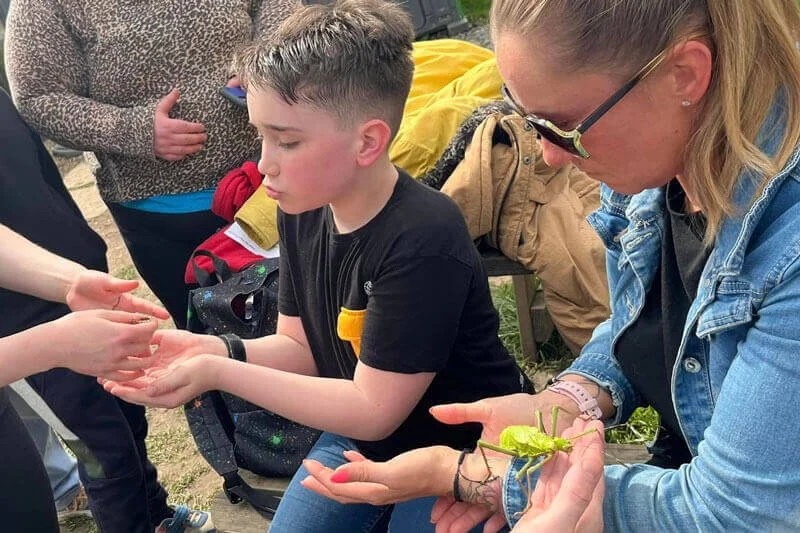 Children observing a large insect up close during an animal encounter session