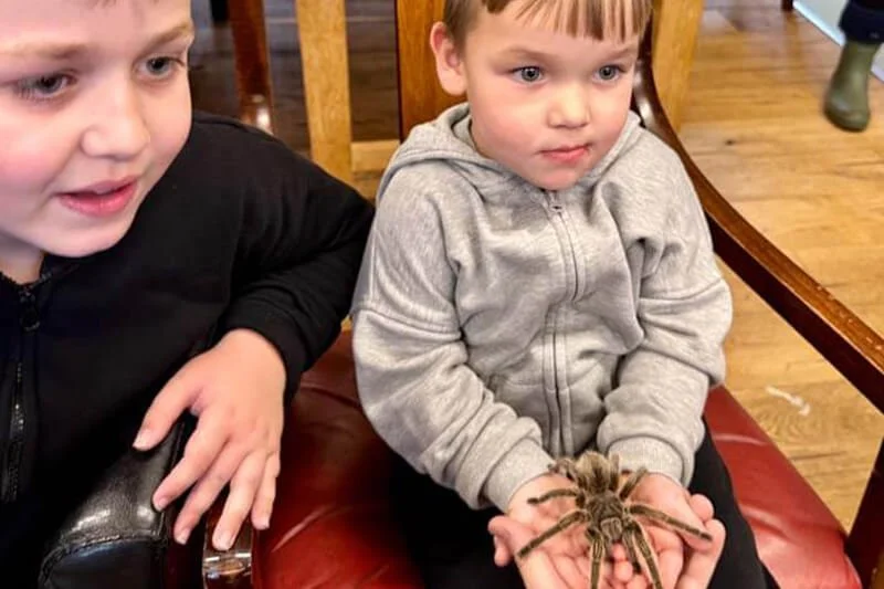 A child learning about spiders at a Forward Facing animal encounter workshop