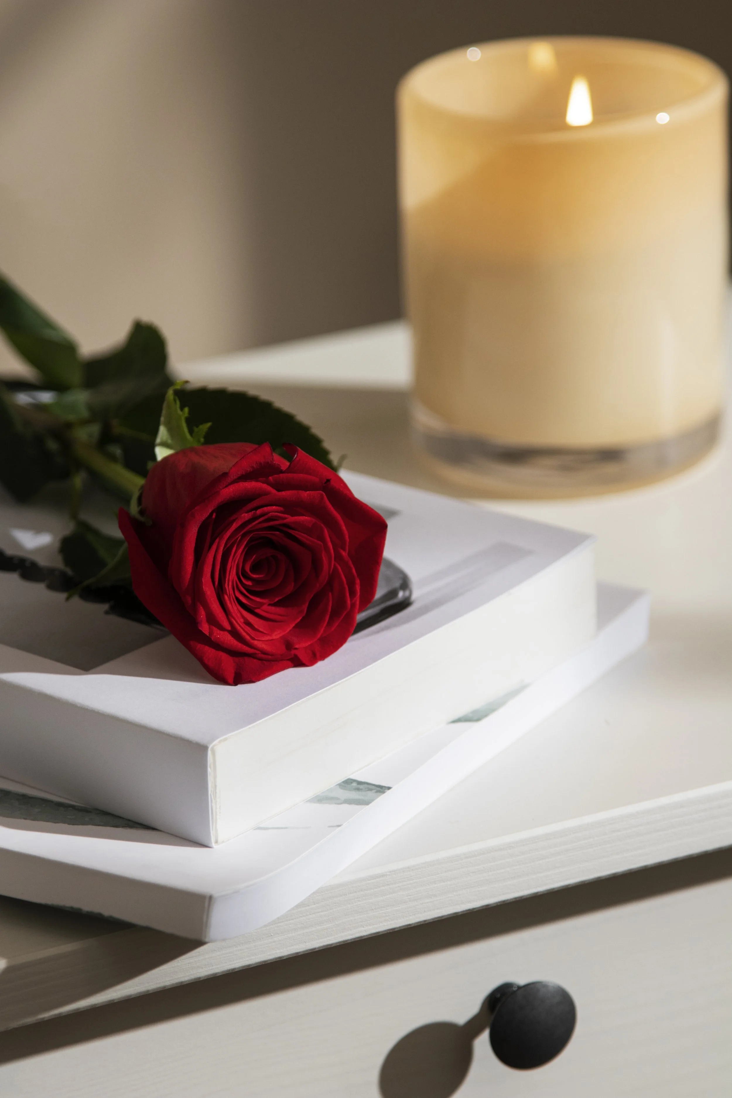 A white lily and dried wheat resting on warm linen