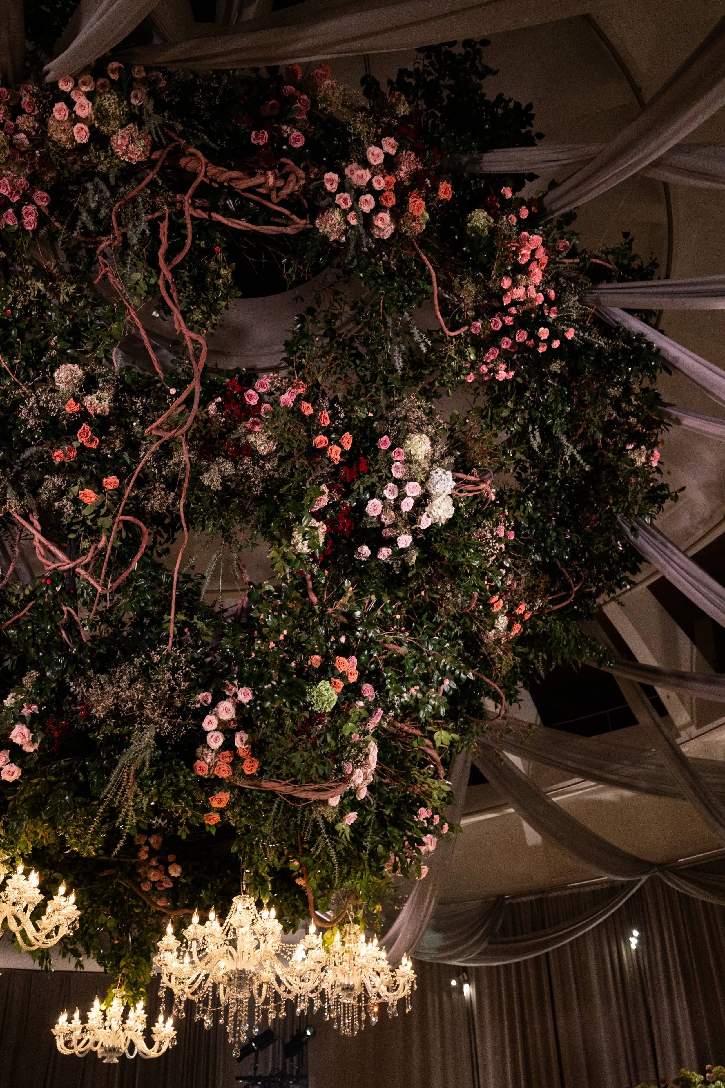 Bianca Binc — event photography