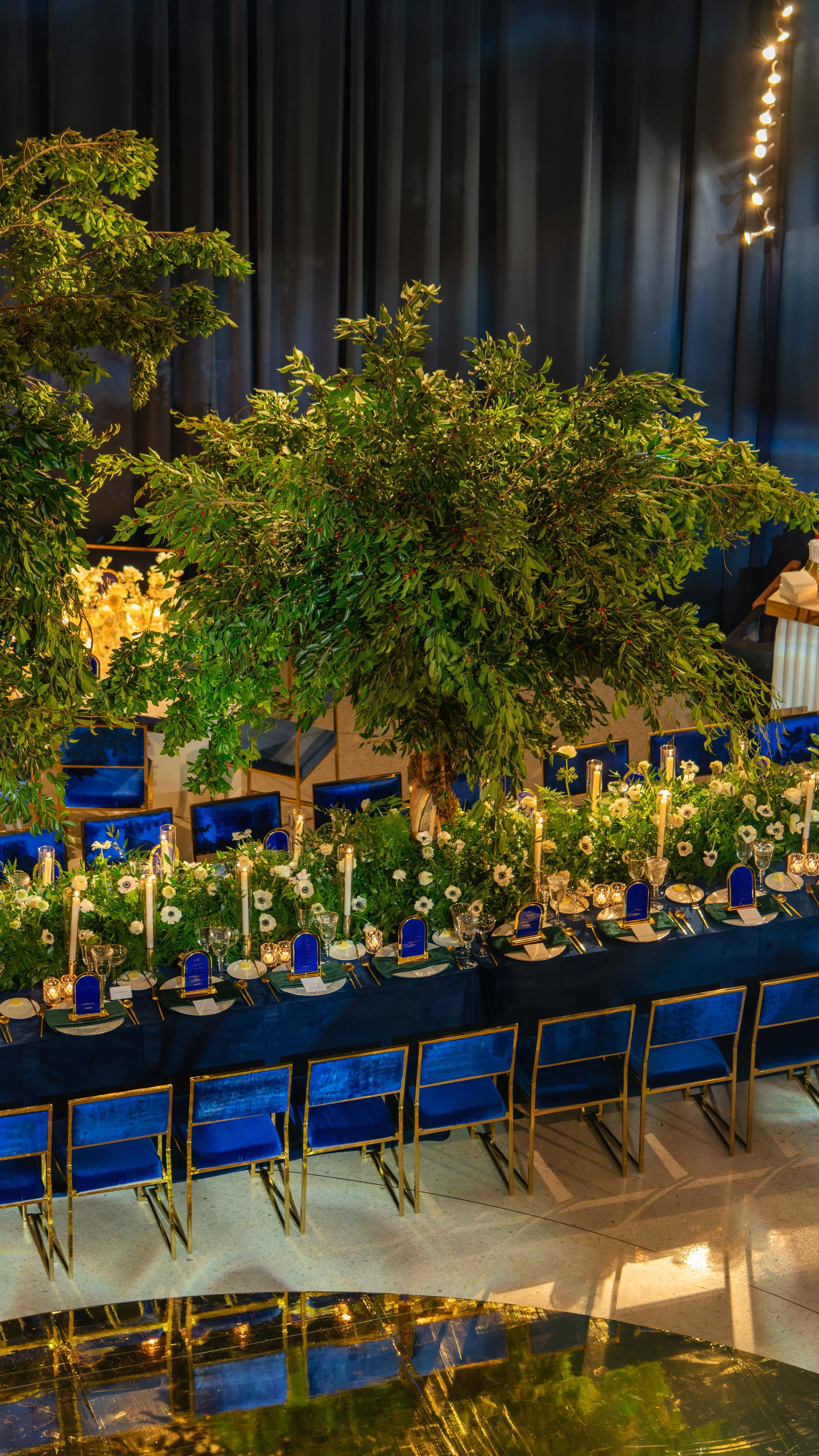 Masterplan Events — Faena Miami Beach