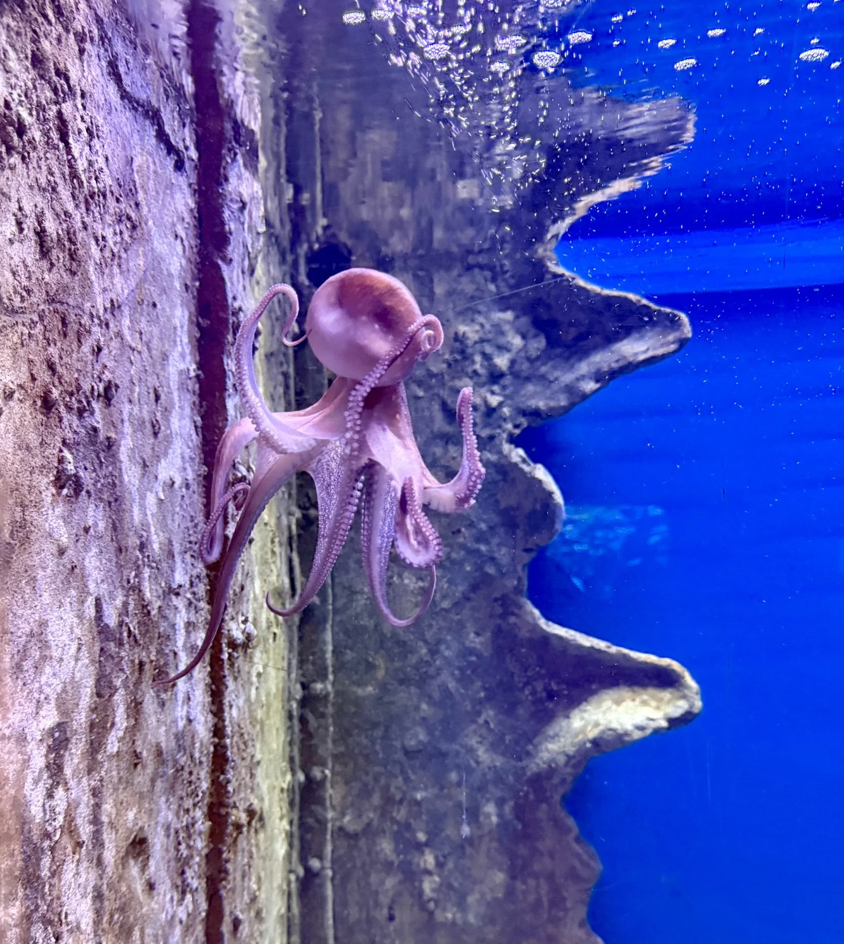 Malta National Aquarium