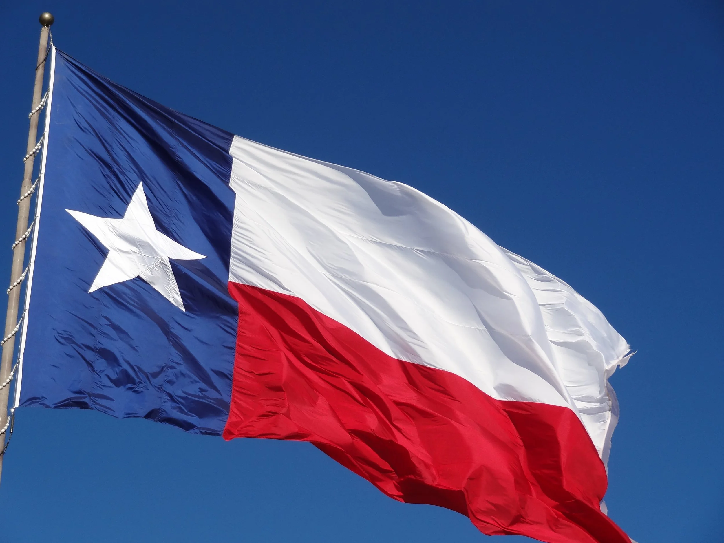 Texas pride decor and flag