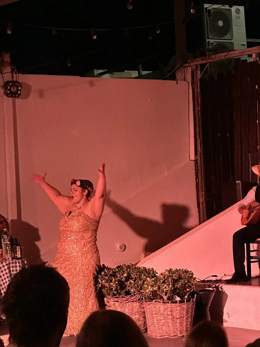 Greek Wedding Show