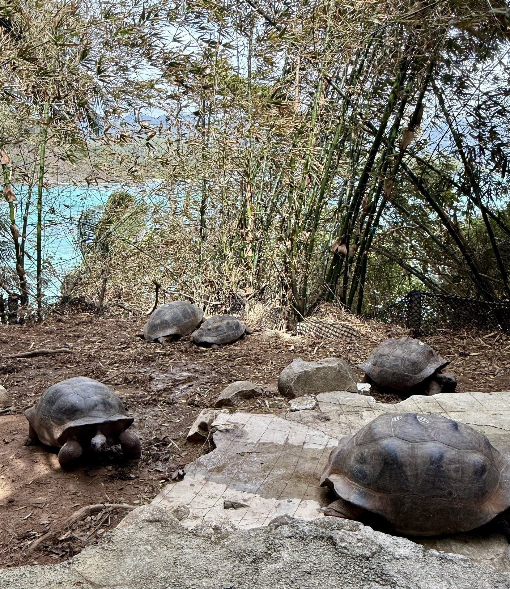 Seychelles travel photo