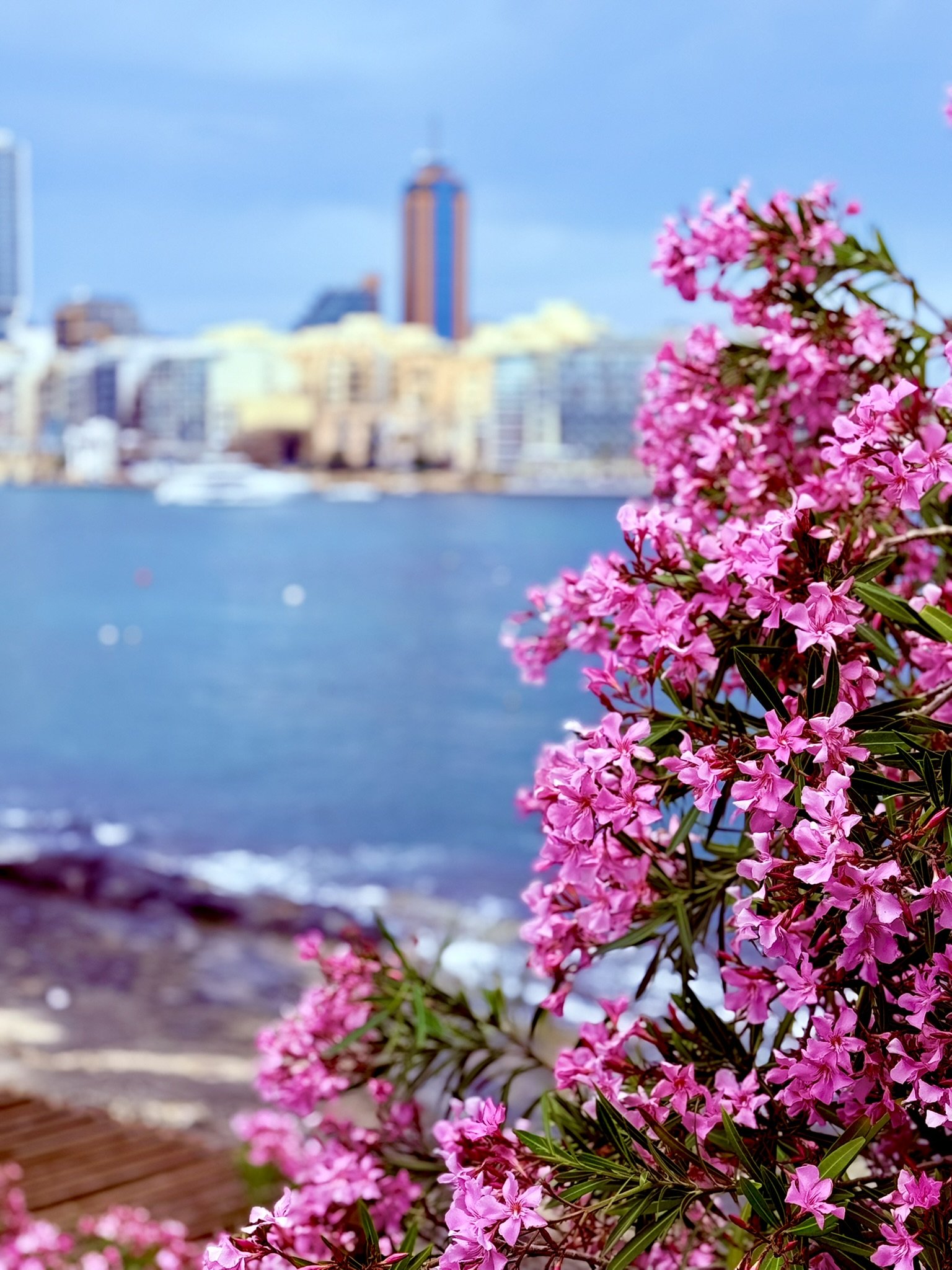 Malta city view