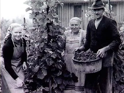 Arnold's parents and sister in rural Switzerland
