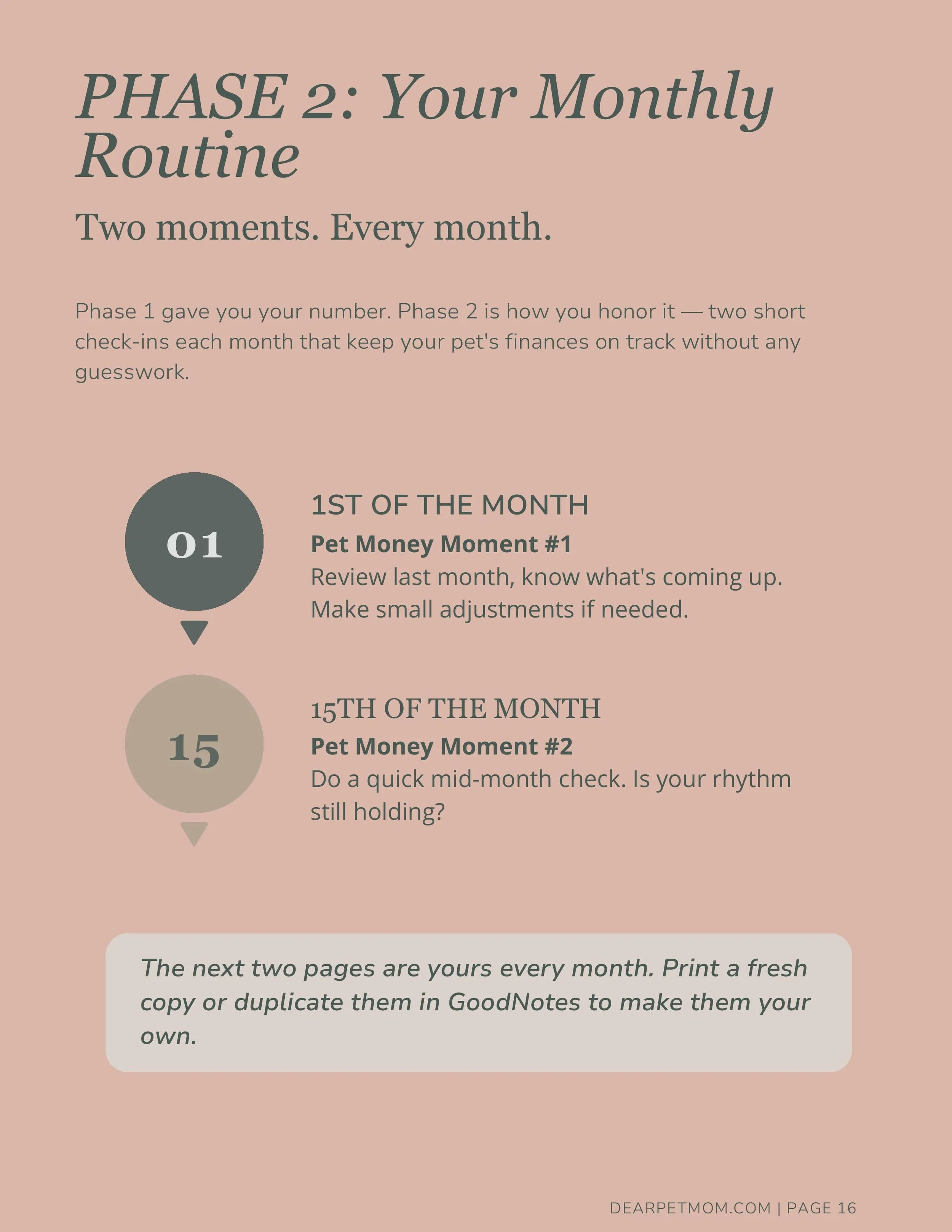 Phase 2: Your Monthly Routine