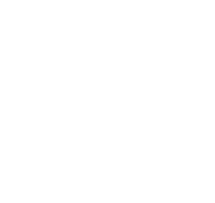 Lifetime warranty.