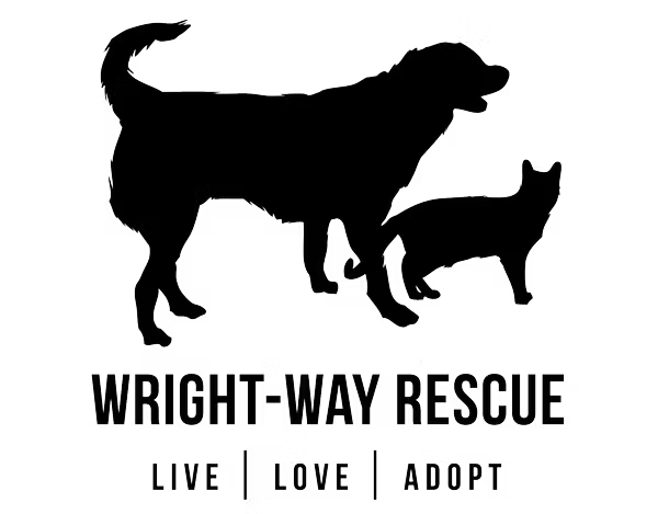 smileassociate client logo