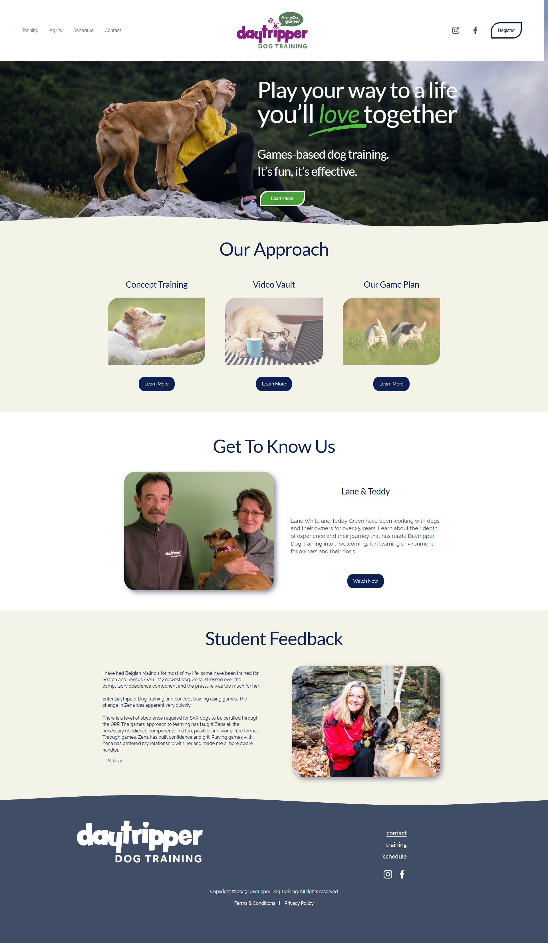 Project preview