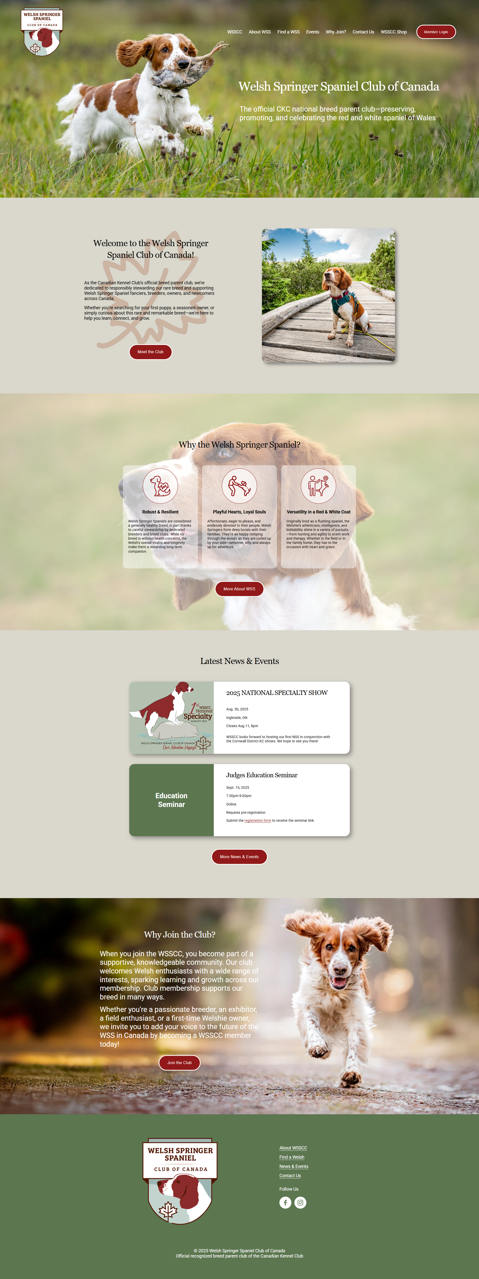 Project preview for XYZ