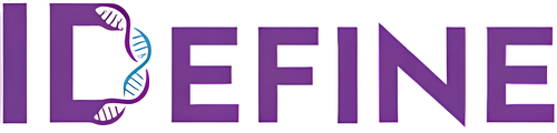 IDEFINE logo