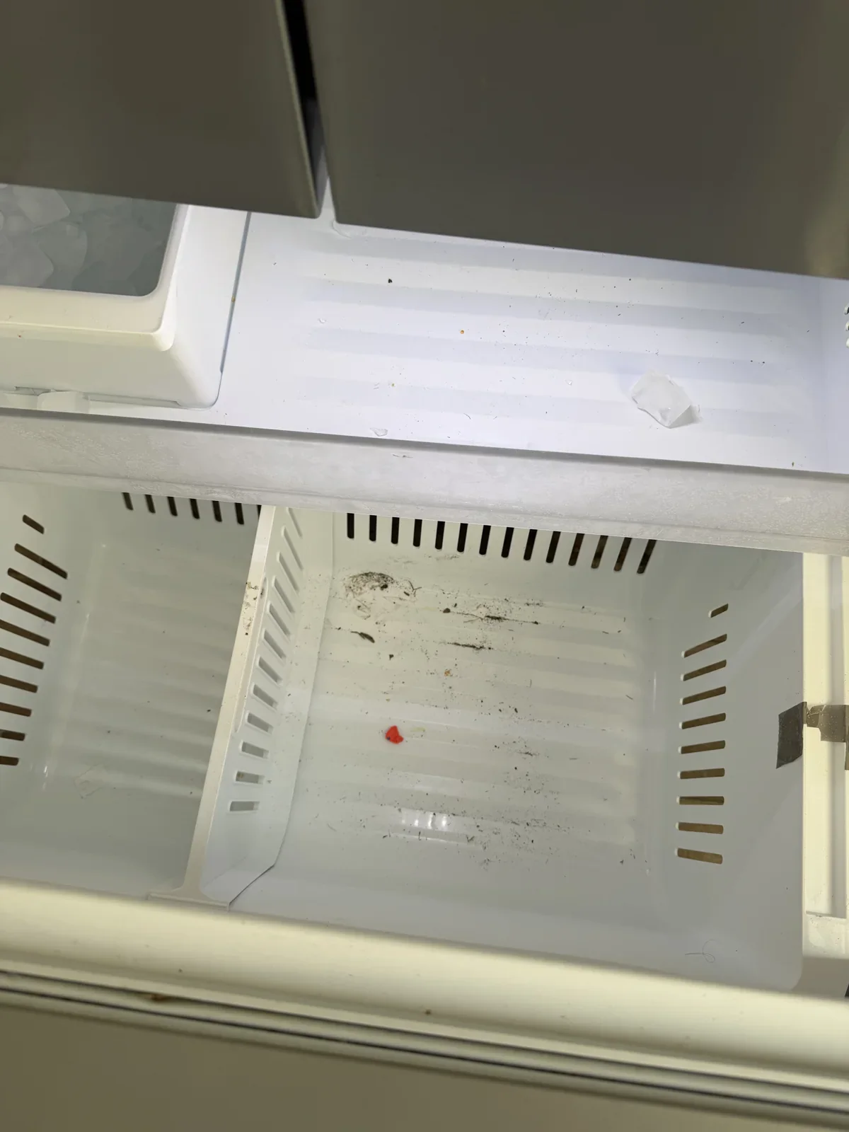 Empty white freezer drawer with scattered crumbs and debris before cleaning