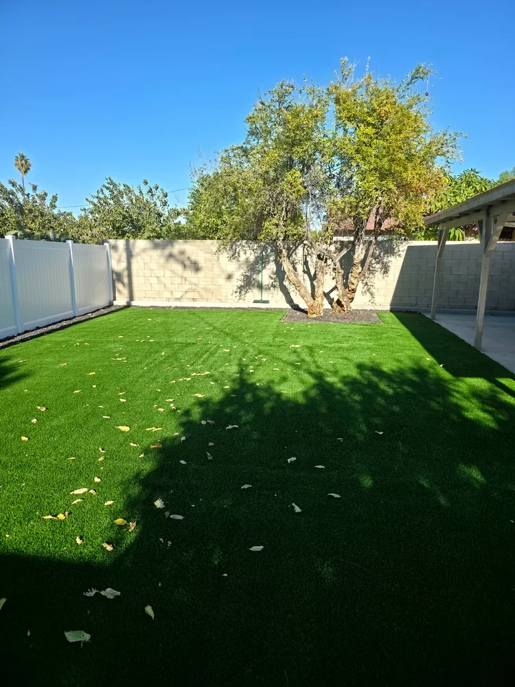 Backyard after: artificial turf and a bordered planting area around the tree