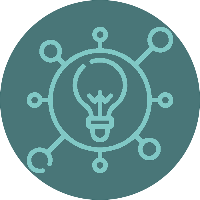 solution icon
