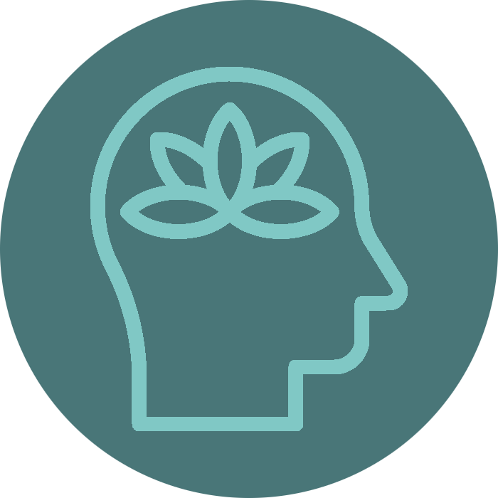 mindfulness icon