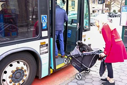 Woman with dogs in a pram boarding a bus, West 81st Street, New York — street photography by Billy Smith