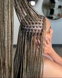 Box Braids