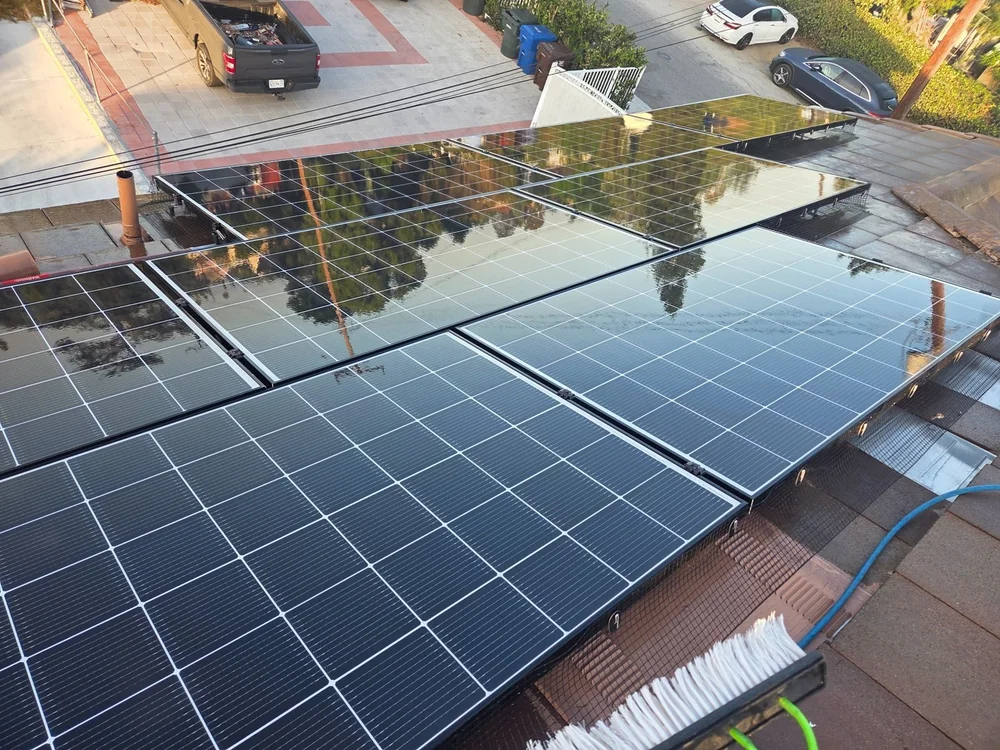 Cleaned residential solar array with perimeter bird-proofing mesh