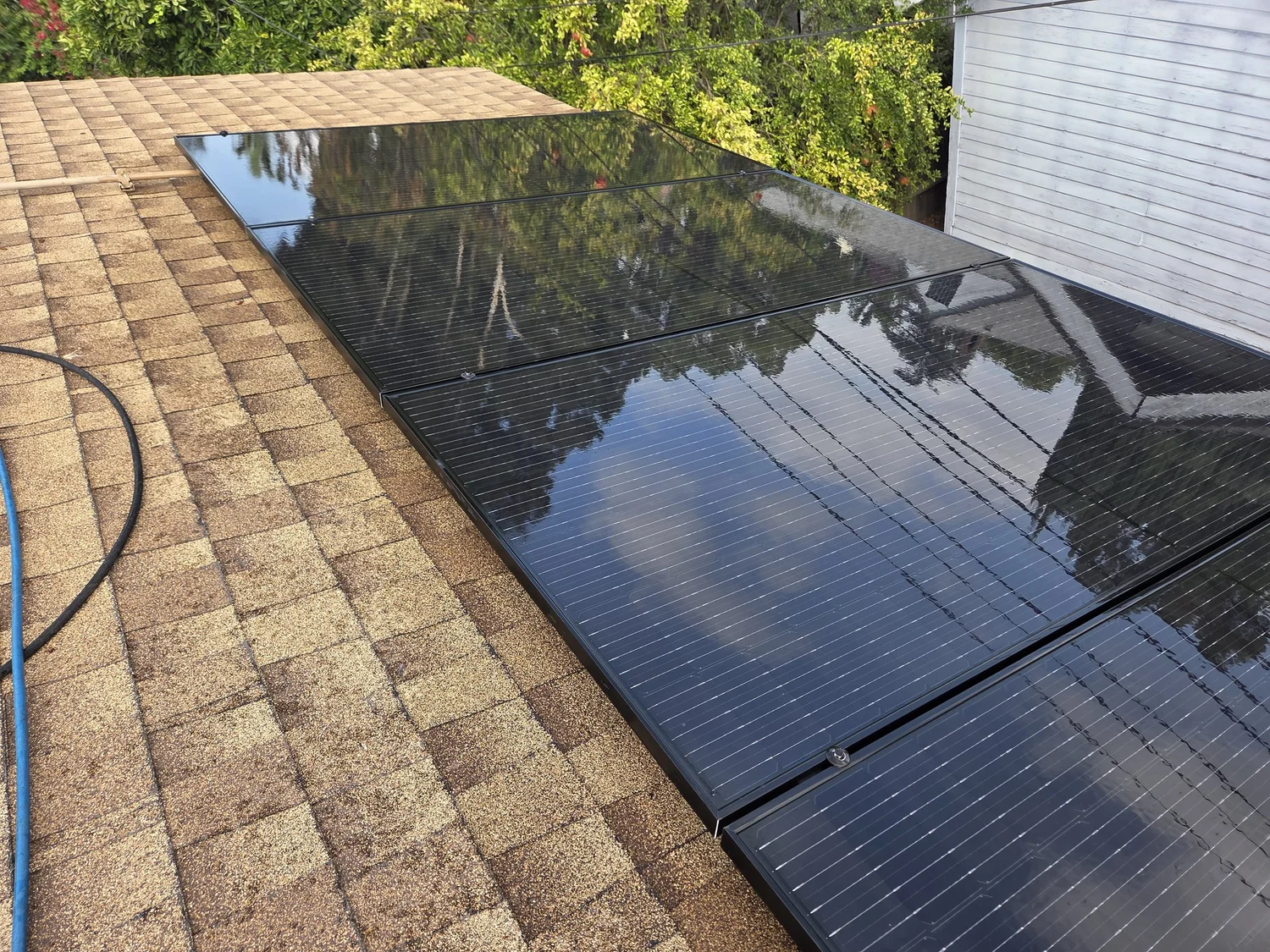 Freshly cleaned panels reflecting nearby trees