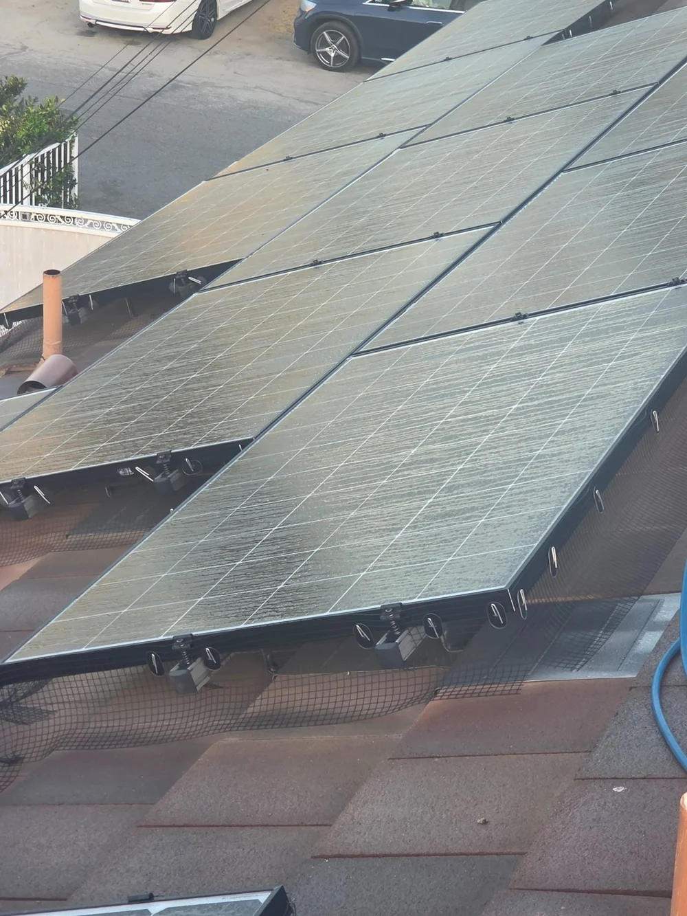 Solar array with visible buildup before cleaning; perimeter mesh already visible
