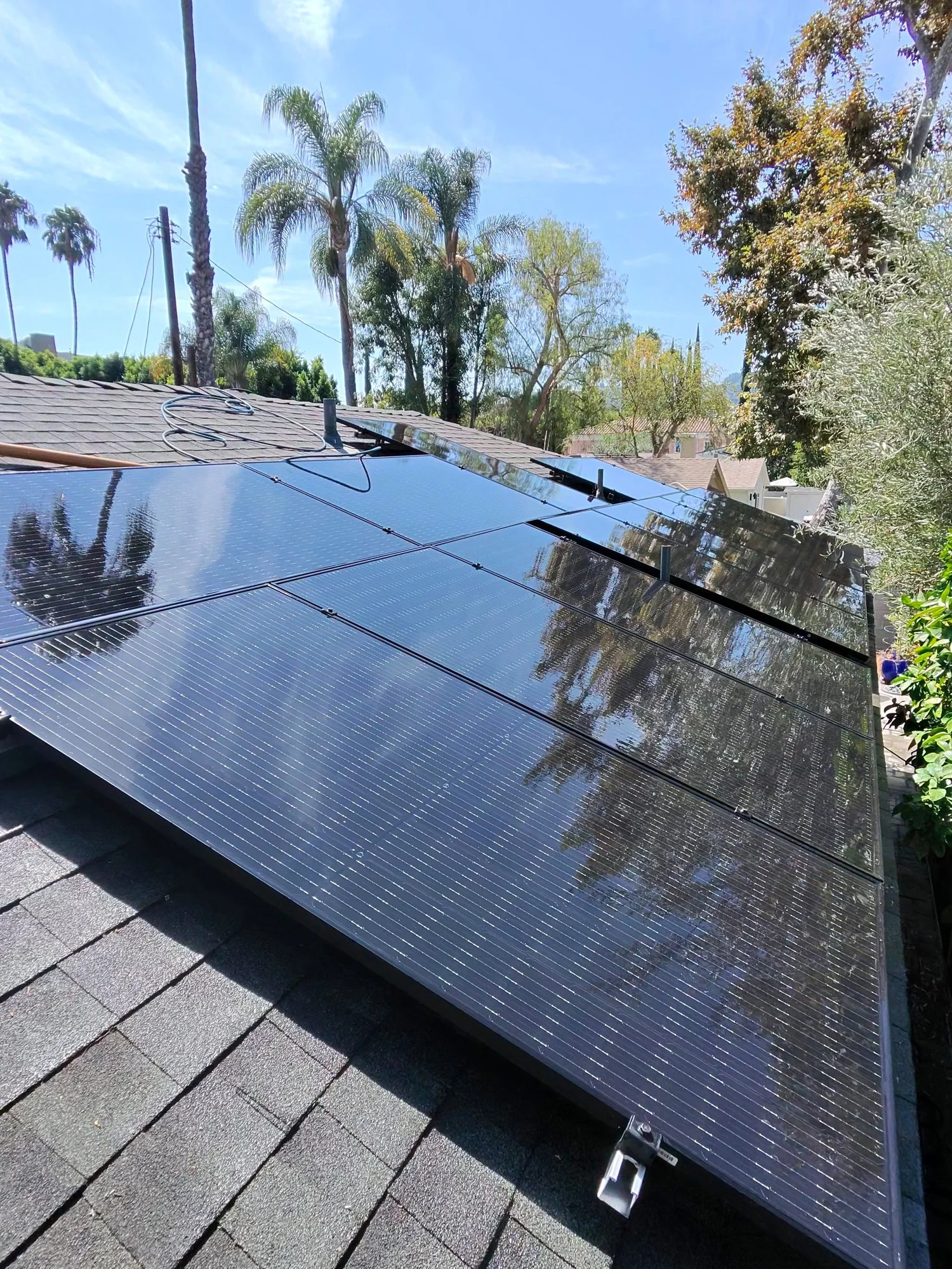 Reflective solar panels beneath palms and blue sky