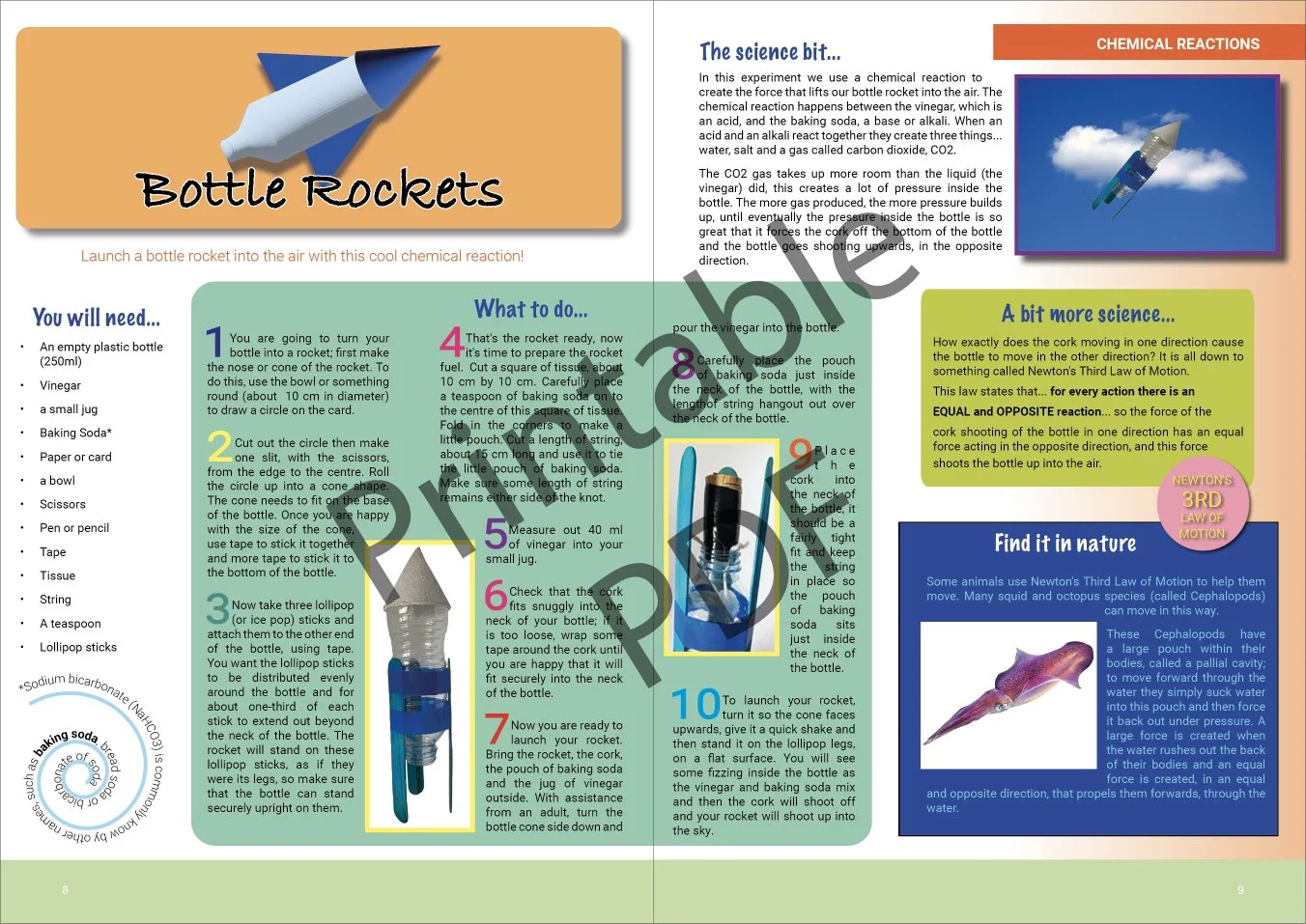 Experiment 2 Rockets