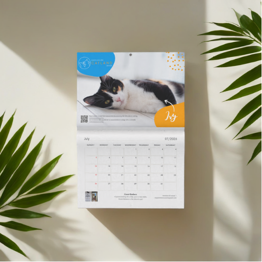 Catland annual fundraising calendar