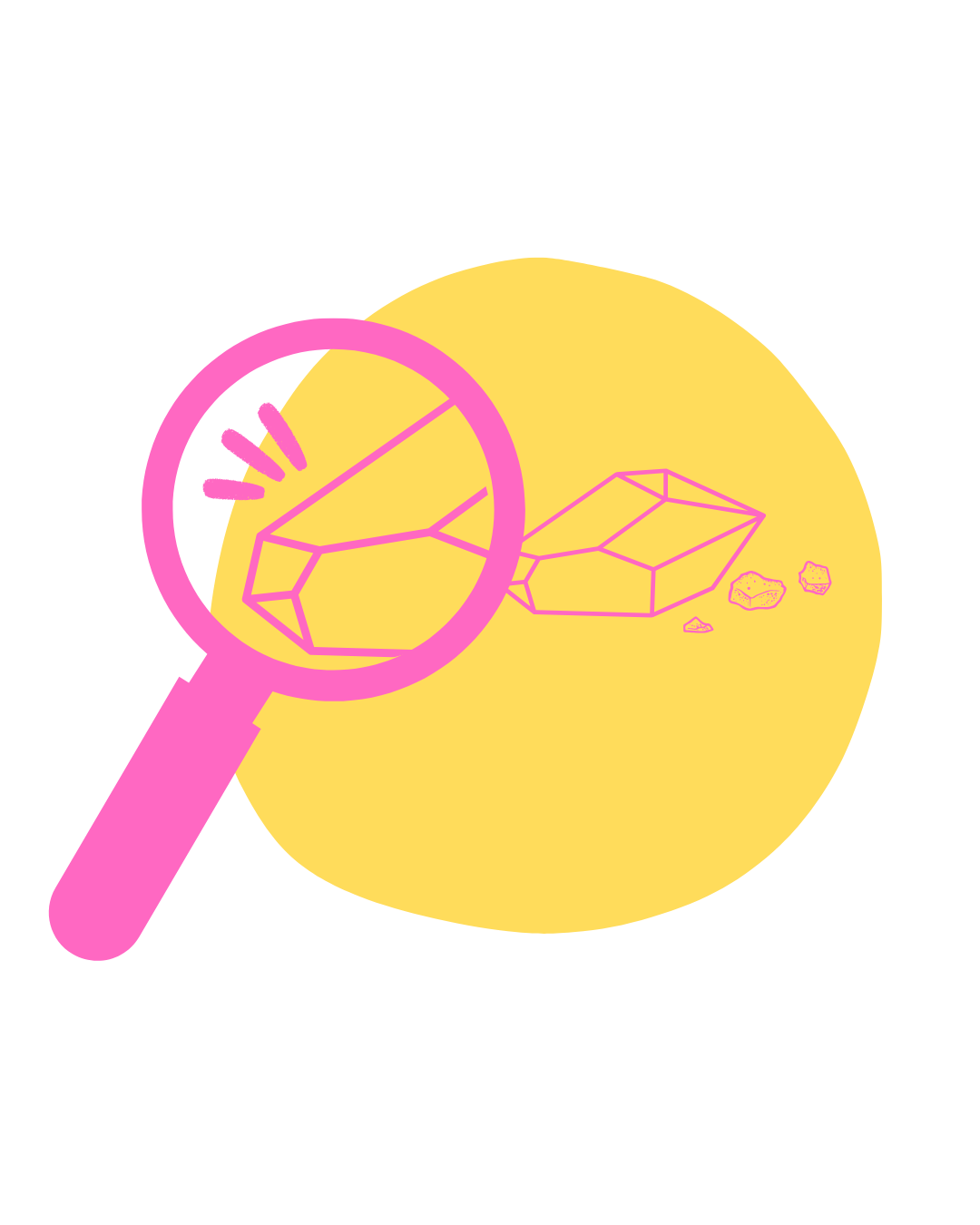 Seed Creation stage of the branding process