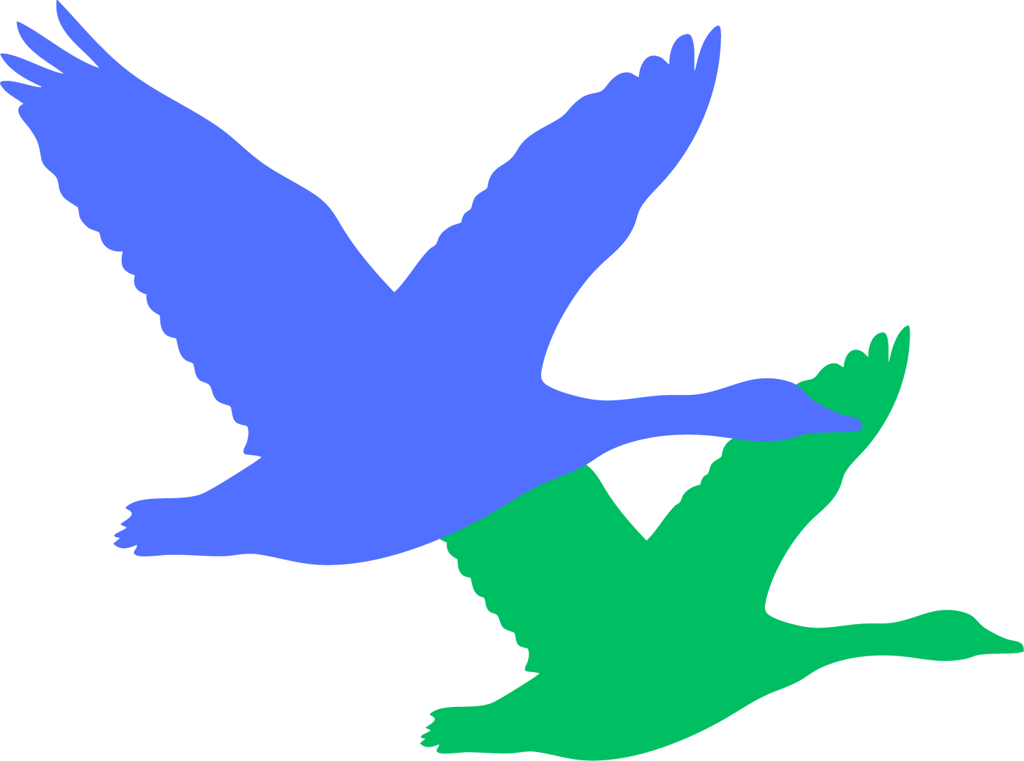 Custom bird silhouette created for Atticus